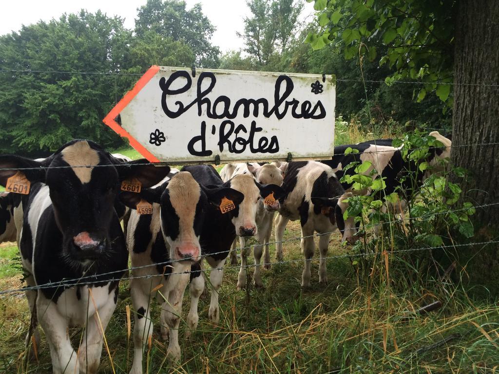 Bed and breakfast Les De Ribeaufontaine